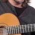 Vicente Amigo Signature Guitar Trial