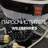 Пароочиститель с WB Артикул 200153141 обзоры Wildberries Wb товарыдлядома рекомендации рек