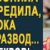 Узнав о наследстве невестки свекровь позвонила сыну чтобы он пока не подавал на развод