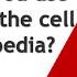 Why Should You Use Cellosaurus The Cell Line Encyclopedia