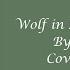 Wolf In Sheep S Clothing Set It Off Cover