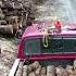 Gathering Firewood In Seward Alaska Winter Prep