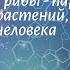 Биология 7 кл Пасечник 7 Грибы паразиты растений животных человека