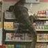 Monitor Lizard Enters Supermarket Giant Monitor Lizard Giant Lizard Shorts