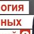 Психология интимных отношений 2 Александр Шевченко Проповеди христианские