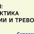 Нейропсихиатрия современная практика лечения депрессии и тревоги