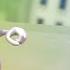 Crazy Frog Axel F Song Effects L Preview 2 Narwhals Effects