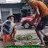 A Big Umbrella For The Old Man Selling Vegetables
