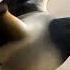 The Sealcrow Has No Idea What It S Doing Shorts AIAnimals Cursedcreatures