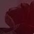 Paul Thomas Christian Burns Enjoy The Silence Ext Mix Mc MoSeS Exe TranceMyDelivrance