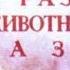 Происхождение и развитие животного мира на Земле Диафильм по зоологии для 7 класса