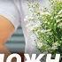 Эдуард Асадов Я любить тебя буду можно