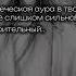 Тем временим Пей Мин наблюдающий за ними благословение небожителей новелла Tgcf