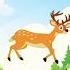 Mustafa Mustafa Allah Hu Akbar Islamic Video Trending Animals Islamicshorts Naat