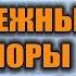 ДОМ ИЗ СНЕГА СНЕЖНАЯ ПЕЩЕРА СНЕЖНАЯ НОРА УКРЫТИЕ ЗИМОЙ ИЗ СНЕГА Выживание зимой в лесу Бушкрафт