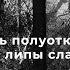 Дверь полуоткрыта