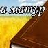 Мират Гиздатуллин Туган тел премьера клипа 2022года