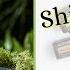 Shinrin Yoku Forest Bathing Blend