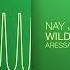 Nay Jay Wild Thoughts Aressa Remix