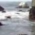 Low Tide At The Golden Gate