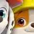 Rubble Helps PAW Patrol Marshall Build A Fire Station W Motor FULL EPISODE Rubble Crew