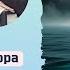 ВНУТРЕННЯЯ ОПОРА Психологи Ирина Квиташ и Маша Чегодаева