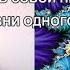 ЖЕРТВОВАТЬ СОБОЙ НЕТ НУЖДЫ ДВЕ ЖИЗНИ ОДНОГО КОТА Сеанс для Ирины Часть 4