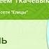 ВХОД ГОСПОДЕНЬ В ИЕРУСАЛИМ верба или пальма почему Христос выбрал осла о Андрей Ткачев
