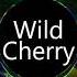 Mr Chase Wild Cherry