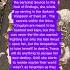 Book Review Of The Dark Fantasy Novel Rain Of Shadows And Endings By Melissa K Roehrich This Book