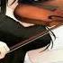 Nightcore Senbonzakura Violin Cover