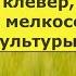 19 Как посеять вручную люцерну клевер фацелию и другие мелкосемянные культуры