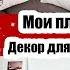 ПРИВЕТ ОСЕНЬ ЗАСОЛИЛА ФОРЕЛЬ ПОКУПКИ ДЛЯ ДОМА РОМАН БОТАН В ДЕЛЕ БОЛЬШОЕ МЕНЮ