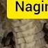 Nagin Original Tone Nagin Been Full Tune Official Music