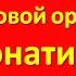 Шумовой оркестр Сонатина муз А Гедике