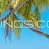 FREE NO COPYRIGHT Tropical Fever By LiQWYD Luke Bergs