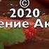 Вафли кэроб на день Валентина ПОХУДЕНИЕ для ГУРМАНОВ E32 кэроб