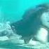 Underwater Scene Scenes Edit The Croods Chunky The Macawnivore Underwater Sharpness