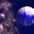 Brant Bjork The Bros Live Roadburn 2010 Full Concert Proshot