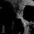 Bones HandbookForTheRecentlyDeceased NIGHTMVRE REMIX