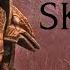 Мэддисону не рады в Skyrim