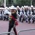 The Massed Bands Of HM Royal Marines The Mall