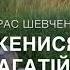 Тарас Шевченко Не женися на багатій