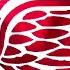 Detroit Red Wings Custom Goal Horn Detroit Rock City