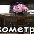 Короткометражный фильм Приключение Фигаро Или как хитрый колхозник водит за нос своего соседа