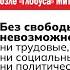 Нет блокировке Ютуба Олег Мецлер организатор митинга в Новосибирске рассказывает о целях акции