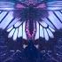 Sunlight For Dreams Felicia Farerre Ethereal Inspirational Music Between Worlds