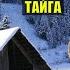 УБЕЖИЩЕ в ГЛУХОЙ ТАЙГЕ МЕДВЕДЬ ЗОЛОТО ЧЕРНАЯ МЕТКА в ЛЕСУ ИСТОРИИ из ЖИЗНИ ПОХОД АУДИОКНИГА СЕРИАЛ 4