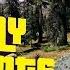 Приколы в Far Cry 5 Баги Приколы Фейлы Трюки Смешные Моменты