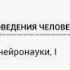 Биология поведения человека Лекция 10 Введение в нейронауки I Роберт Сапольски 2010 Стэнфорд